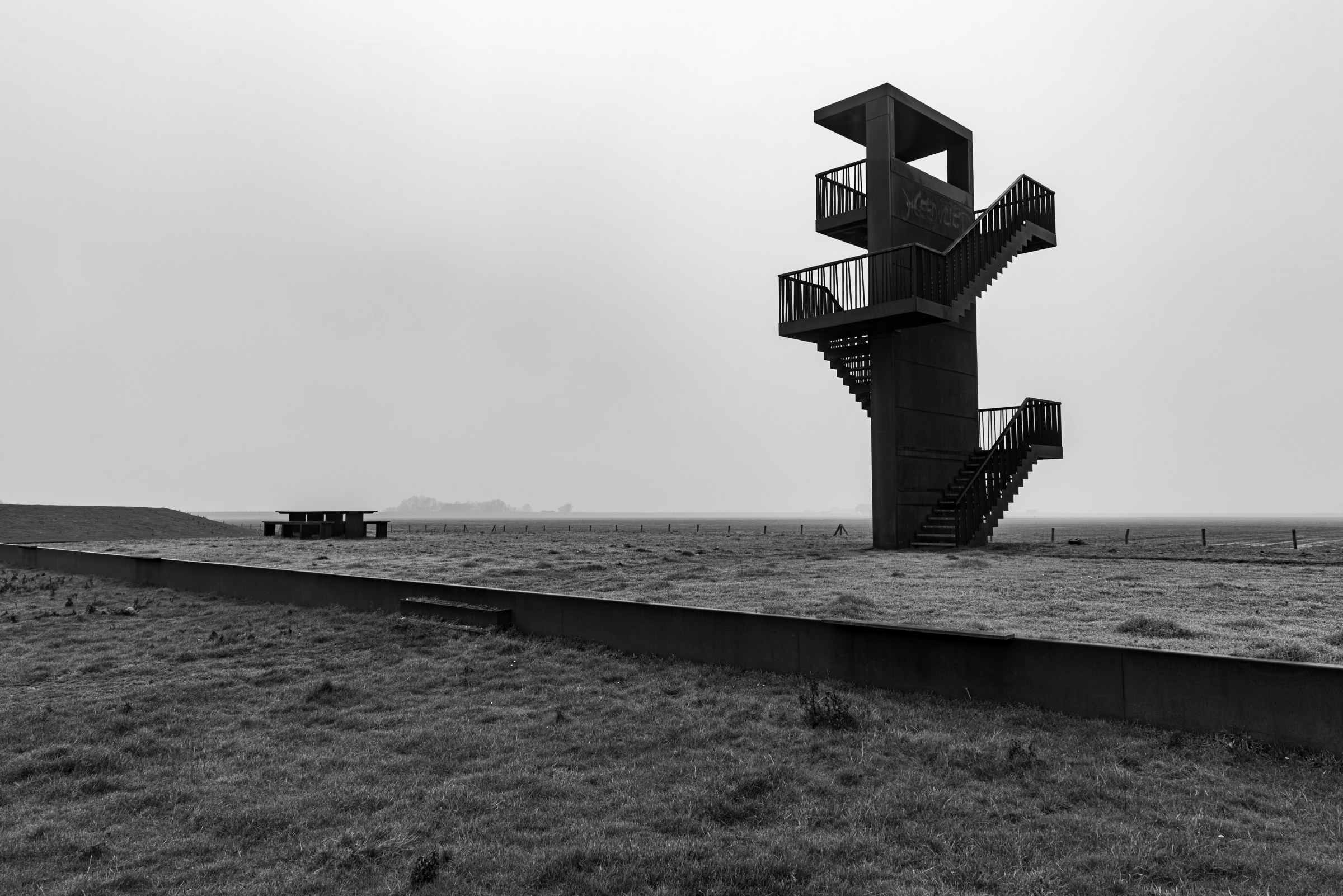 Sentinel in the Mist