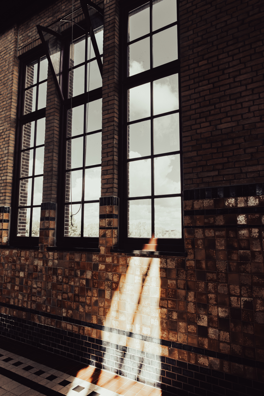 Where Light Finds a Way